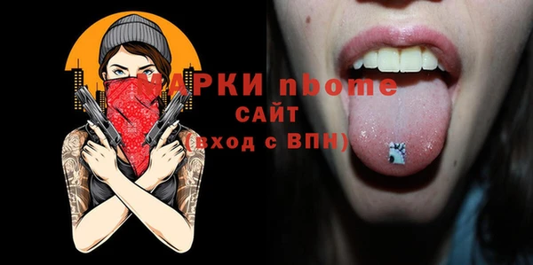 индика Снежинск
