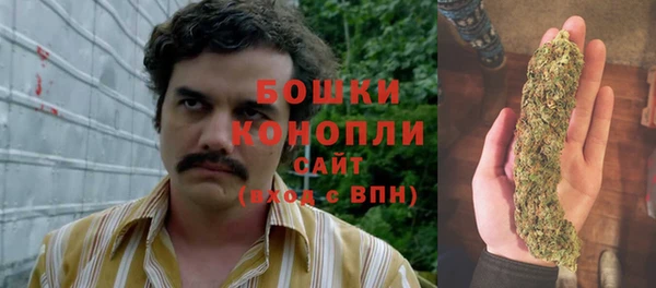 бошки Балахна